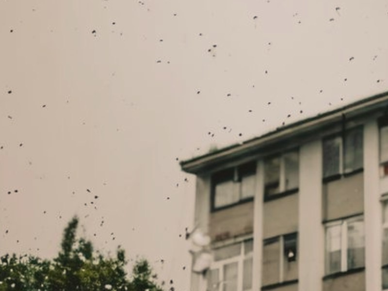 一顆蘋果